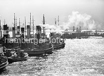 186_6 Die Schlepper mit ihren hohen Schornsteinen liegen an einem Ponton vor Hamburg St. Pauli - einige sind unter Dampf, so dass diese Arbeitsschiffe sofort losfahren knnen. 