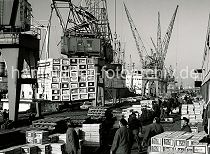 462_09_h Die Ladung Apfelsinen eines Frachtschiffs wird im Hansahafen gelscht. Portalkrne laden die Kisten auf dem Kai ab - dort stapeln Arbeiter sie auf Holzpaletten, die dann mit Gabelstaplern in den Fruchtschuppen gebracht werden.