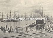 0953973 Blick in den Segelschiffhafen ca. 1890; dicht gedrngt liegen die Segelschiffe mit den hohen Masten am Kai oder an festgetut an den Duckdalben auf Reede. Links der Amerikakai und rechts der Asiakai - im Hintergrund rechts der grosse Kran von Krahnhft.
