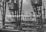 0954003 die Krne im Hamburger Hafen laufen auf Schienen - im Vordergrund der Kai Breslauer Ufer im Oderhafen. Schiffe liegen auf Reede im Hafen; Schuten und Binnenschiffe haben an der Bordwand fest gemacht.