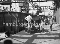 439_04 Arbeit im Hamburger Hafen ca. 1948; ein Frachter wird im Roßhafen gelöscht. Der Kran bringt die Säcke aus dem Frachtraum des Schiffs an Land - Kaiarbeiter nehmen die Ladung in Empfang. Auf einem Elektrokarren werden die Säcke in den Lagerschuppen gebracht. Im Hintergrund arbeiten weitere Krane und bringen Säcke an Land - Hafenarbeiter transportieren das Sackgut mit Sackkarren. Güterwaggons stehen auf der Gleisanlage direkt an der Laderampe der Lagerschuppen. 