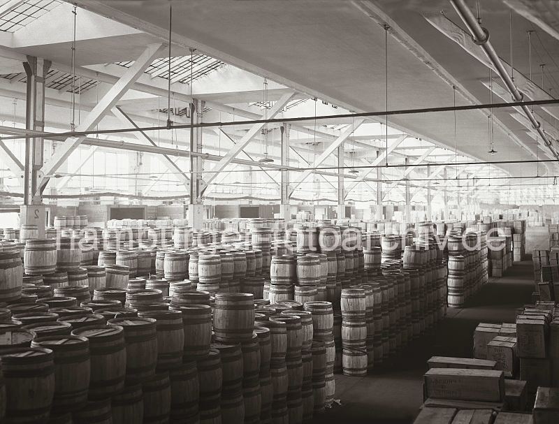 Historische Hamburg Fotos zum Geburtstag, Jubil�um, Weihnachten. Fruchtschuppen B der HHLA, F�sser mit Weintrauben - Versmannkai, Baakenhafen; ca. 1936.  467_126 Dicht an dicht stehen die F�sser mit den Weintrauben im HHLA- Fruchtschuppen B am Versmannkai des Baakenhafens. Oberlichter im Dach des Lagergeb�udes sorgen f�r gute Beleuchtung - bei Dunkelheit werden die Lampen eingeschaltet, die �ber den G�ngen unter der Decke h�ngen.