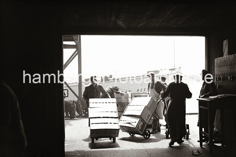 Historische Fotos von der Arbeit im Hamburger Hafen - Bildarchiv der HHLA. Transport von Fruchtkisten mit Sackkarren im Fruchtschuppen; ca. 1932. 477_17_B_267 Transportarbeiter bringen die vom Frachter angelandeten Fruchtkisten mit Sackkarren in den Lagerraum des Fruchtschuppens A am Versmannkai des Baakenhafens. Jeweils drei der Holzkisten werden mit einer Fuhre transportiert. Im Hintergrund die K�pfe zweier Zugpferde eines Pferdefuhrwerks, das an der Laderampe steht.