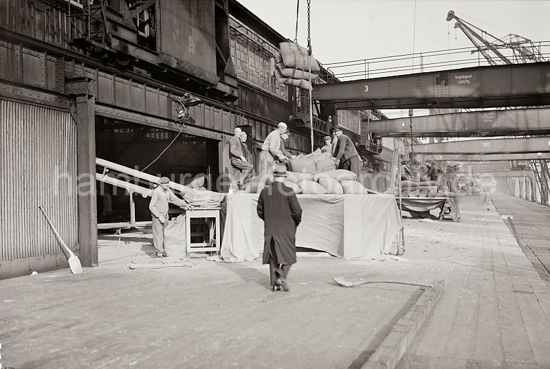 Historische Hafenfotos aus dem Archiv der Hamburger Hafen und Logistik AG. Eine Ladung S�cke wird an den Hafenkai gebracht - Arbeiter l�sen die Fracht vom Kranhaken. 480_B_330a An den Toren der Lagerschuppen stehen die Hafenarbeiter auf einem Podest, die Ladung S�cke wird dort von den Hafenkr�nen abgeladen. Die S�cke werden auf einem F�rderband geleert, die das Sch�ttgut in den Hafenschuppen transportieren.