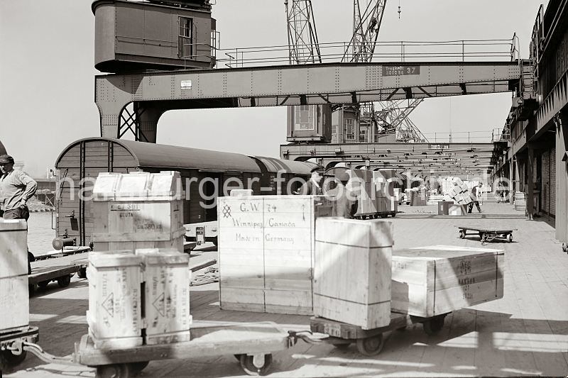 Historisches Fotomaterial vom Hafen Hamburgs. Verladung von Holzkisten - Alte Hamburg Fotos als Geschenk zu Weihnachten. 555_394 Kisten werden auf den Anhngern eines Elektrokarrens auf die Laderampe gebracht. Eine grosse Holzkiste steht auf der Laderampe; auf ihrer Seite ist der Zielort Winnipeg / Canada und Made in Germany gedruckt.  Im Hintergrund sind Pappkartons gestapelt - eine Ladung bringt ein Lagerarbeiter mit einer Sackkarre in den Lagerraum.