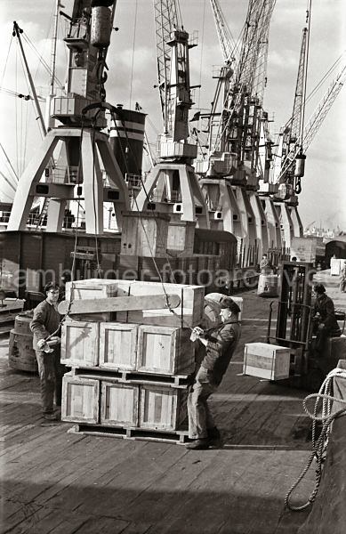 Geschichte der Technik im Hafen - Fotoarchiv der HHLA. Gabelstapler und Paletten mit Kisten im S�dwesthafen; ca. 1954. 565_4 Zwei Hafenarbeiter legen das Ladegeschiff an eine Palette mit Kisten an  - im Hintergrund fahren zwei Gabelstapler mit ihrer Ladung �ber die Laderampe am Togokai des Hamburger S�dwesthafens. Zwischen den Kranen und der Rampe stehen die teilweise beladenen G�terwaggons zweier Z�ge auf den Gleisen. 