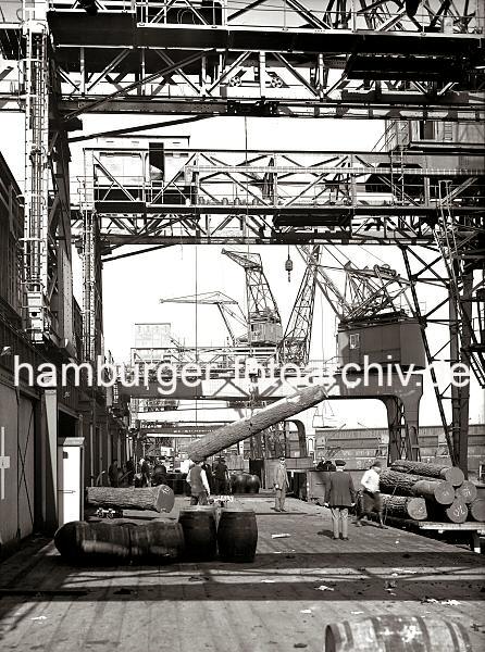 693_134 Doppelkrne an einer Kaianlage des Hamburger Hafens. Mit einer Baumzange werden die tropischen Baumstmme auf dem Kai abgeladen und auf eine Transportkarre gelegt; mit dieser transportieren die Hafenarbeiter das Tropenholz in den Lagerraum des Kaischuppens. Historische Hafenbilder aus dem Archiv der Abladen von tropische Baumstmme ; ca. 1938. 