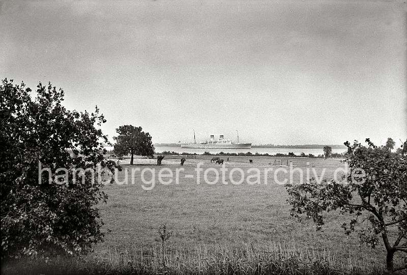 Historische Hamburg-Motiv; Elbwiesen mit Pferden - Elbufer -  Hamburger Bilder als Dekoration fuers Buero auf Fotoleinwand oder Fotopapier. 787_B_234a Eine Herde Pferde grasen auf den Wiesen am Elbufer - ein Turbinenpassagierschiff des Deutschen Afrika Dienstes fhrt auf der Elbe Richtung Nordsee. Die 1936 auf der Hamburger Werft Blohm % Voss gebauten kombinierten Passgier- und Frachtschiff WINDHUK und PRETORIA bedienen vom Heimathafen Hamburg aus die Deutschen Afrika-Kolonien.