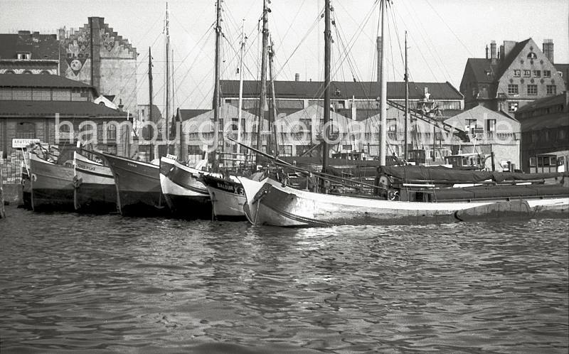 Alte Hamburger Altona-Fotos, Ewer am Fischmarkt Altona - Lagerhuser + Fischauktionshalle; ca. 1949. Geschenke fuer Hamburger + Hamburgerinnen: Hamburgbilder als Kunstdrucke auf Leinwand + Foto-Poster.  802_7 Fischewer liegen im Fischereihafen Altona - die flachbodigen Schiffe sind mit Seitenschwertern versehen, mit denen eine Abdrift verringert wird. Durch den geringen Tiefgang knnen die Schiffe hervorragend auf den tideabhngigen Gewssern der Elbe und ihren Nebenflssen manvrieren.